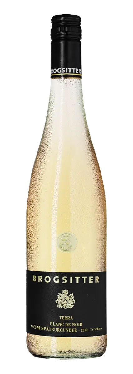 Brogsitter Weingüter Rheinhessen Terra Blanc Spätburgunder Blanc de Noir