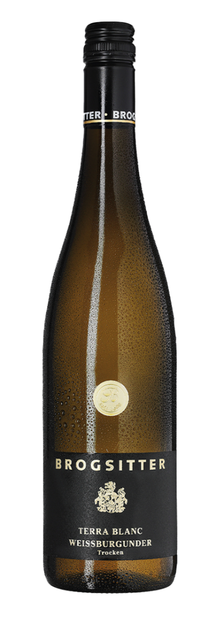 Brogsitter Weingüter Rheinhessen Terra Blanc Weissburgunder