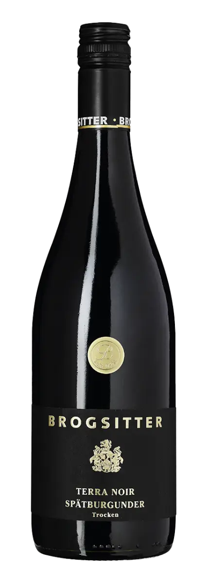 Brogsitter Weingüter Rheinhessen Terra Noir Spätburgunder Trocken