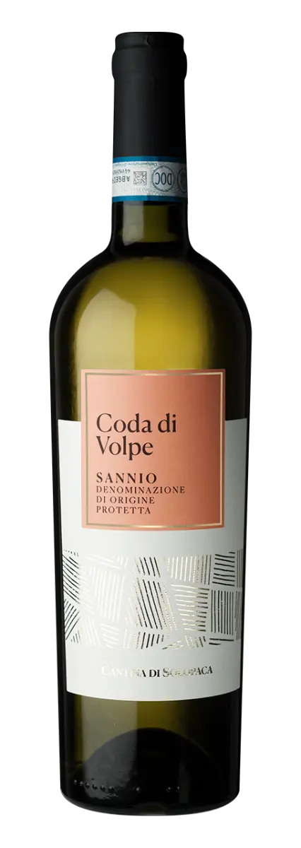 Cantina di Solopaca Coda di Volpe Sannio DOP - 2025