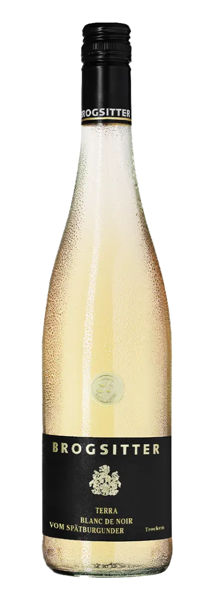 Brogsitter Weingüter Rheinhessen Terra Blanc Spätburgunder Blanc de Noir 