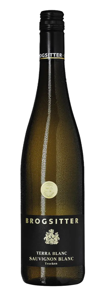 Brogsitter Weingüter Rheinhessen Terra Blanc Sauvignon Blanc 