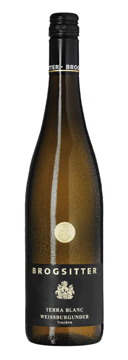 Brogsitter Weingüter Rheinhessen Terra Blanc Weissburgunder 