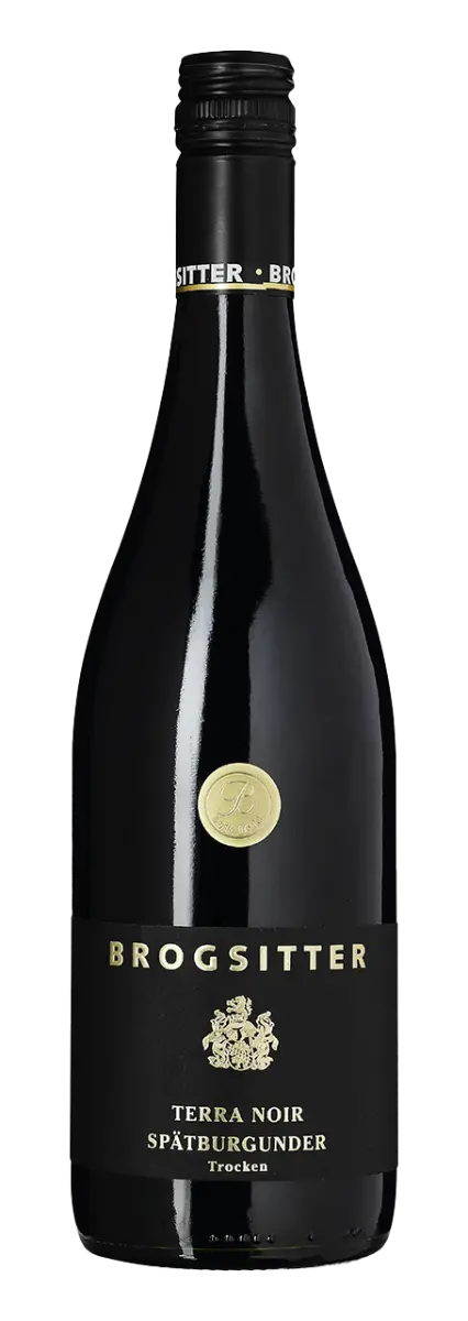 Brogsitter Weingüter Rheinhessen Terra Noir Spätburgunder Trocken - 2024 