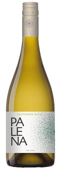 Palena Aconcagua Valley Sauvignon Blanc