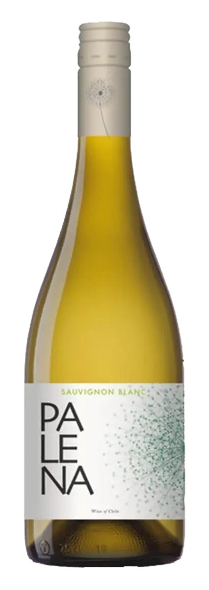Palena Rappel Valley Sauvignon Blanc 
