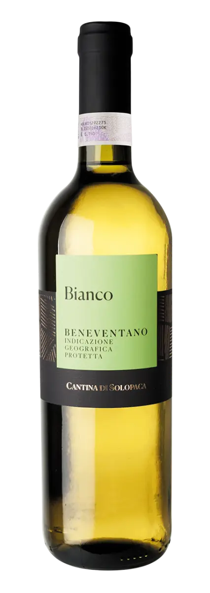 Cantina di Solopaca Beneventano IGT - 2024 