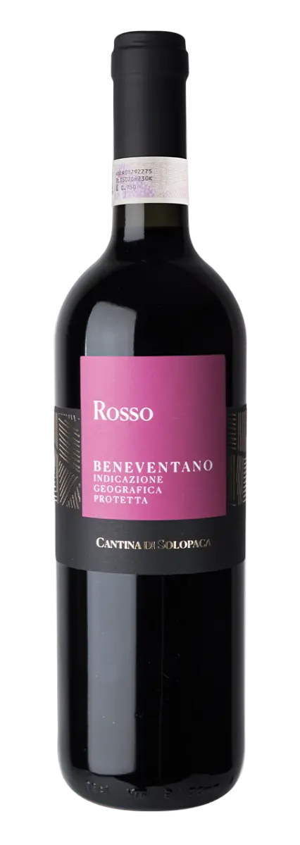 Cantina di Solopaca Beneventano IGT - 2024 
